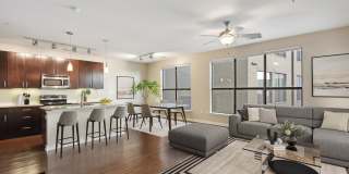 COLE COLE Gallery 11