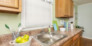 Cottage Grove Gallery 38