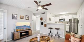 Harmony on Main Gallery 11