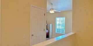 13129 THOROUGHBRED Loop Gallery 17