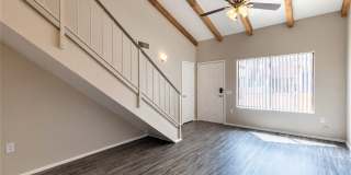 Lion Tempe Gallery 33