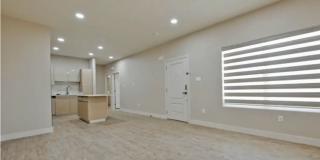 The Tree Apartments Gallery 13