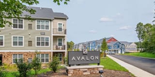 Avalon Old Bridge Gallery 37