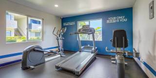 Cypress Park Gallery 13