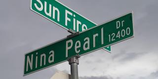 12409 NINA PEARL Drive Gallery 6