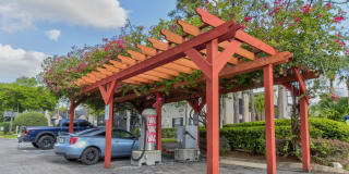 Cypress Run Gallery 9