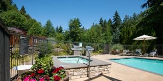 Lakemont Orchard Gallery 21