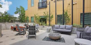 The Ayden Gallery 24