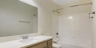 Vista Verde Gallery 22