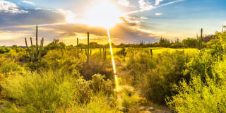 13655 North Gold Cholla Place Gallery 26