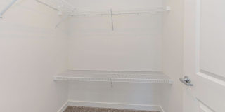 Pointe by Vintage Gallery 30