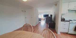 22 Cove Road Gallery 7