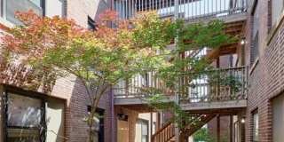 308 Clara Avenue Gallery 21