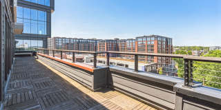 The Griff Gallery 36