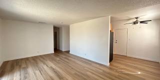 No HOA! 3 Bedroom 2 Bathroom House! Gallery 4