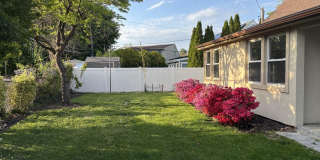 55 Acre Lane Gallery 13