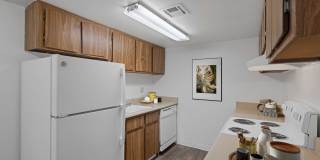 Silverado Village Gallery 1