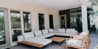 Tanager Tanager Gallery 16