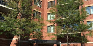 225 Main Street Gallery 11
