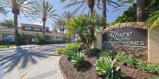 Allure at Camarillo Gallery 33