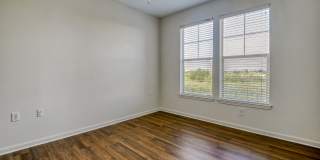 Windsor Mustang Park Gallery 10