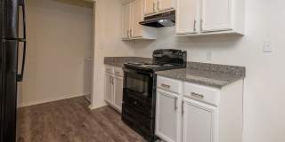 Sentinel of Conway Gallery 2