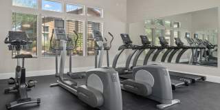 Sierra Verde Gallery 10