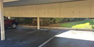 11337 Avenida De Los Lobos Gallery 21