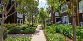 Pescadero Apartments Gallery 34