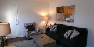 Furnished unit Gallery 5