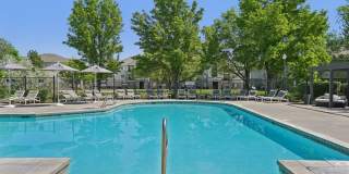 Maison's Landing Gallery 2