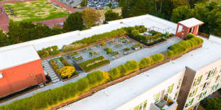 Forge West Seattle Gallery 43