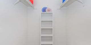 Autumn Wood Gallery 19