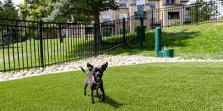 Camden Denver West Gallery 22