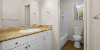 Lantern Cove Gallery 19