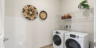 Meritum Evergreen Gallery 5