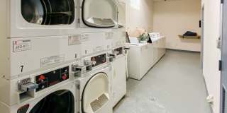 3912-28 N Pine Grove Gallery 9