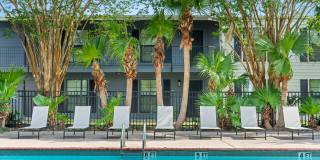 Prien Lake Reserve Gallery 2