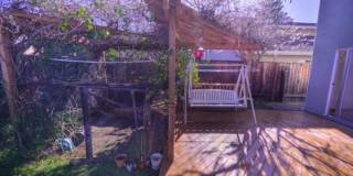 201 Yarborough Ln 201 Yarborough Ln Gallery 36