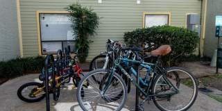 Affordable Housing- Carelton Courtyard Gallery 16