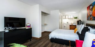 Vivo Living North Woods Gallery 26