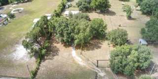 33608 MANDRAKE Road 33608 MANDRAKE Road Gallery 1