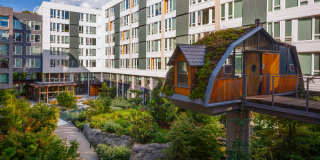 Sitka Gallery 11
