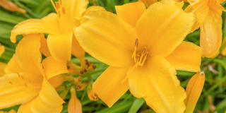 The Woodlands of Brookfield Gallery 15