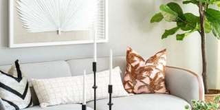 Alta Davis Gallery 4