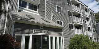 255 North Road Gallery 1