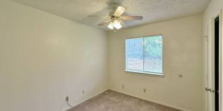 Viewable Now!  Small Dogs Accepted! Gallery 17