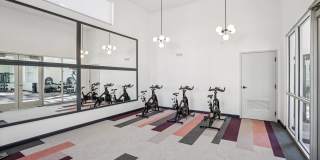 Cottonwood Ranch Gallery 14