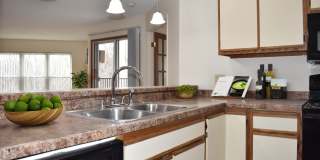Coachman Trails Gallery 4