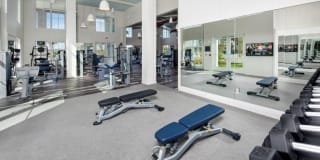 Town Westshore Gallery 30